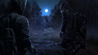 Stalker Online/Stay Out/Steam: Черный лес уходи