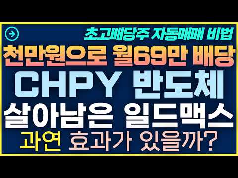 [1탄-049] 폭풍하락속 살아남은 일드맥스 CHPY 반도체 이걸로 세팅하세요