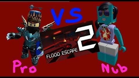 Flood Escape 2 NOOB VS PRO