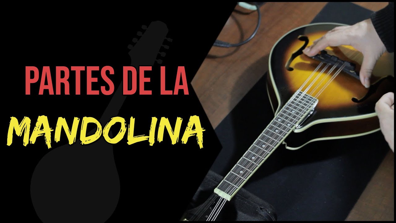 come si usa la mandolina