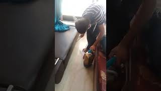 pest control services from urban company