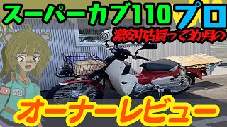 ホンダスーパーカブ110プロja42 sddefault.jpg