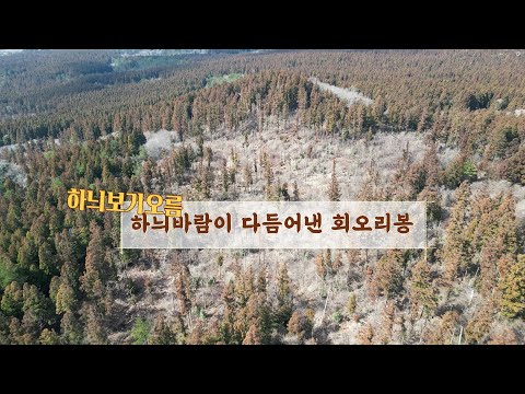 하늬보기