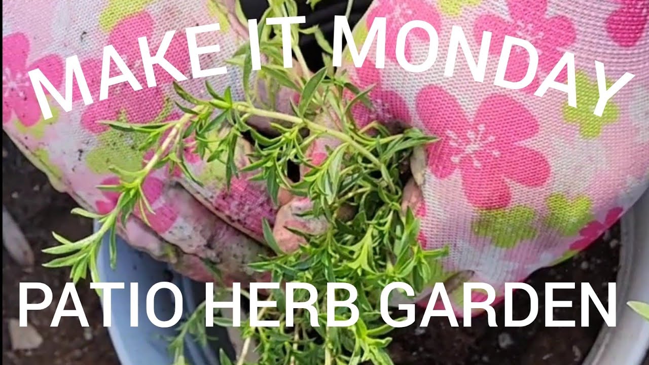 MAKE IT MONDAY Patio Herb Garden YouTube