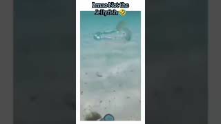 Not the Jellyfish 🤣🤣
