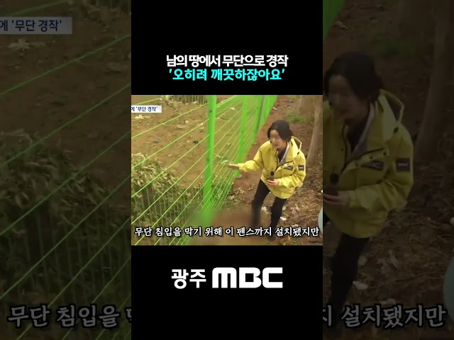 남의 땅에서 무단경작 "오히려 깨끗하잖아요"