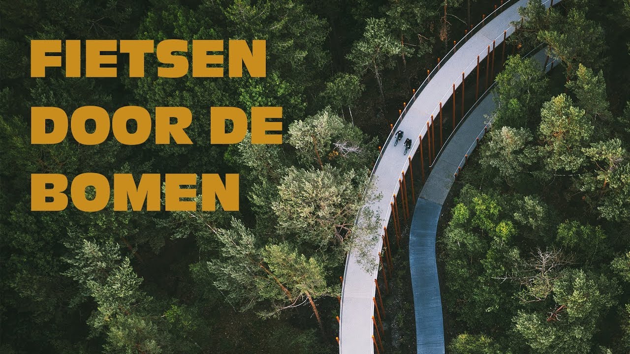 Fietsen door de bomen #fddb - YouTube