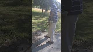 RaShondas Services LLC  Weed Eating