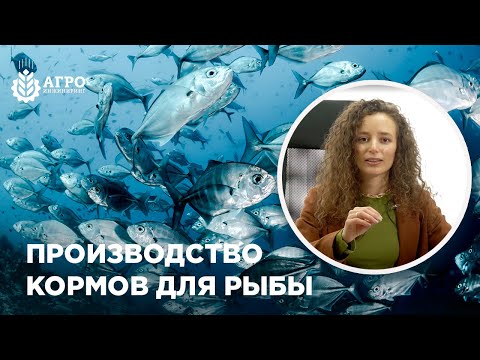 Технология производства кормов для рыбы.