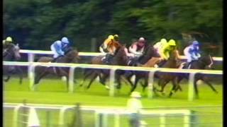 1992 King George VI and Queen Elizabeth Diamond Stakes