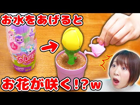 お花の中に何かある!?w ブルーミーポットのペットバージョンが可愛過ぎた！！