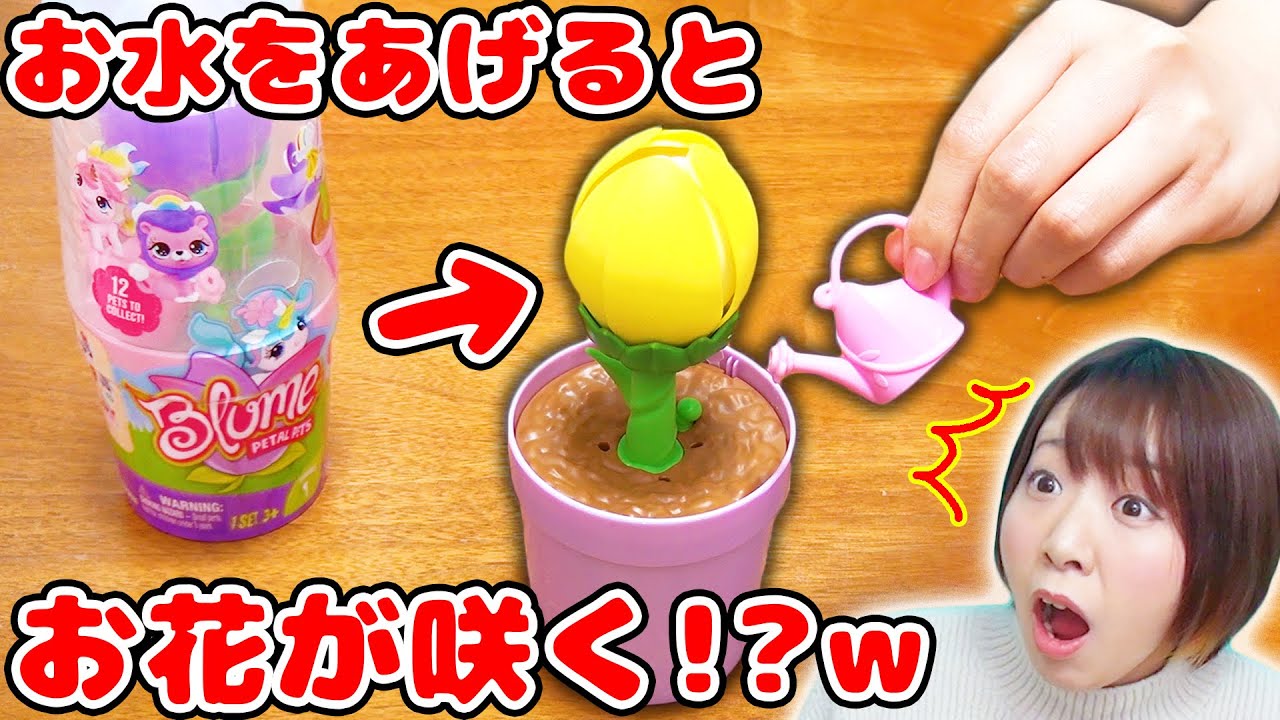Is there something inside the flower!? lol The Bloom Pops pet