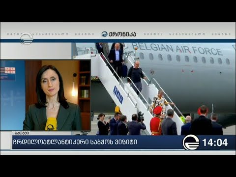 ჩრდილოატლანტიკური საბჭოს ვიზიტი