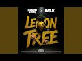 Lemon Tree mp3