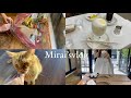 Mirai’svlog/ADDICTION の新作アイブロウを購入、いつも行ってる美容室にモーニングに、家で一人でポテチにビール&more