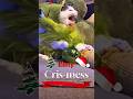 Merry x-mess p1 #cat #foryou #shortsfeed #shortvideo #funny #shorts