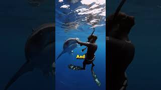 Celebrity How to Survive a Shark Attack 🦈 Profile