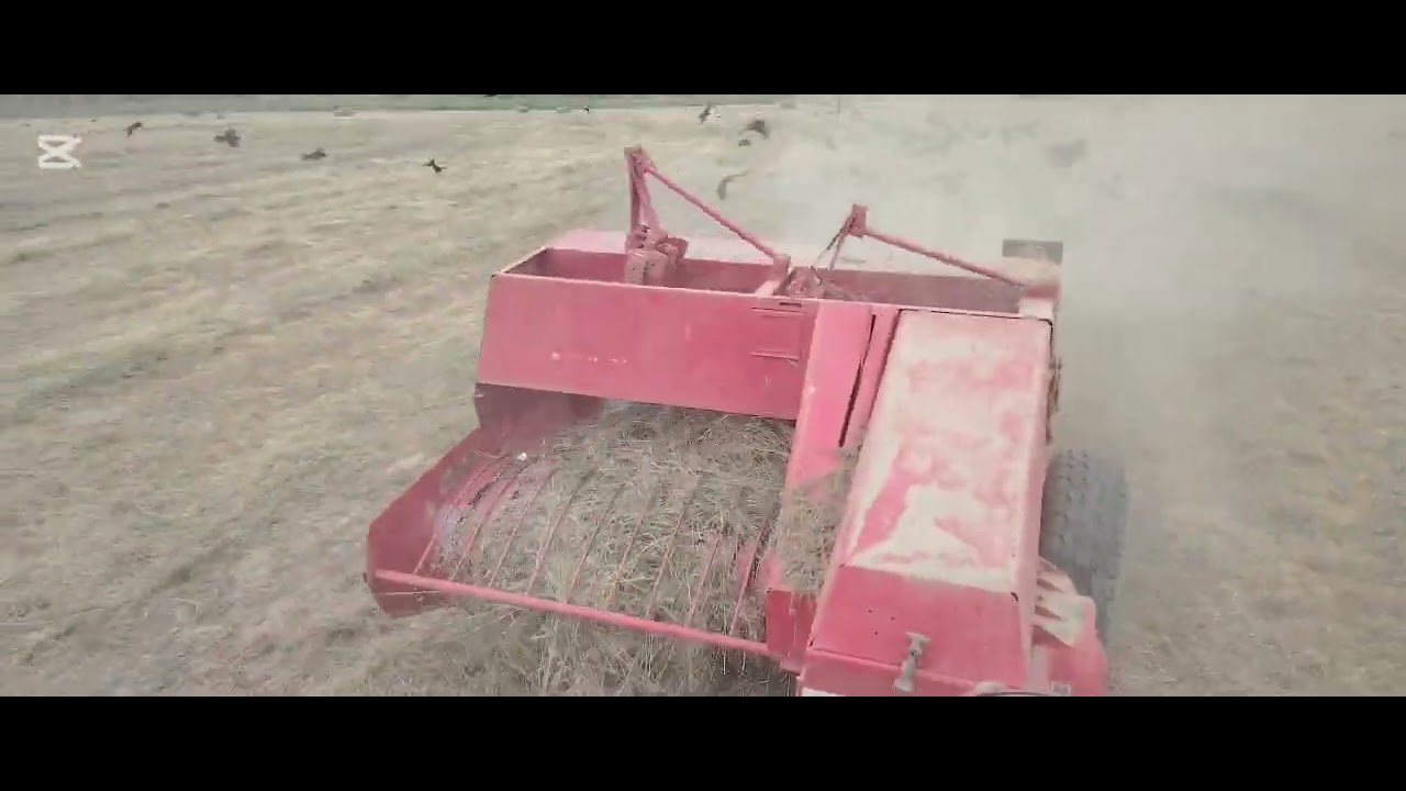 И снова всем здравствуйте! Прессую люцерну прессом Welger AP61