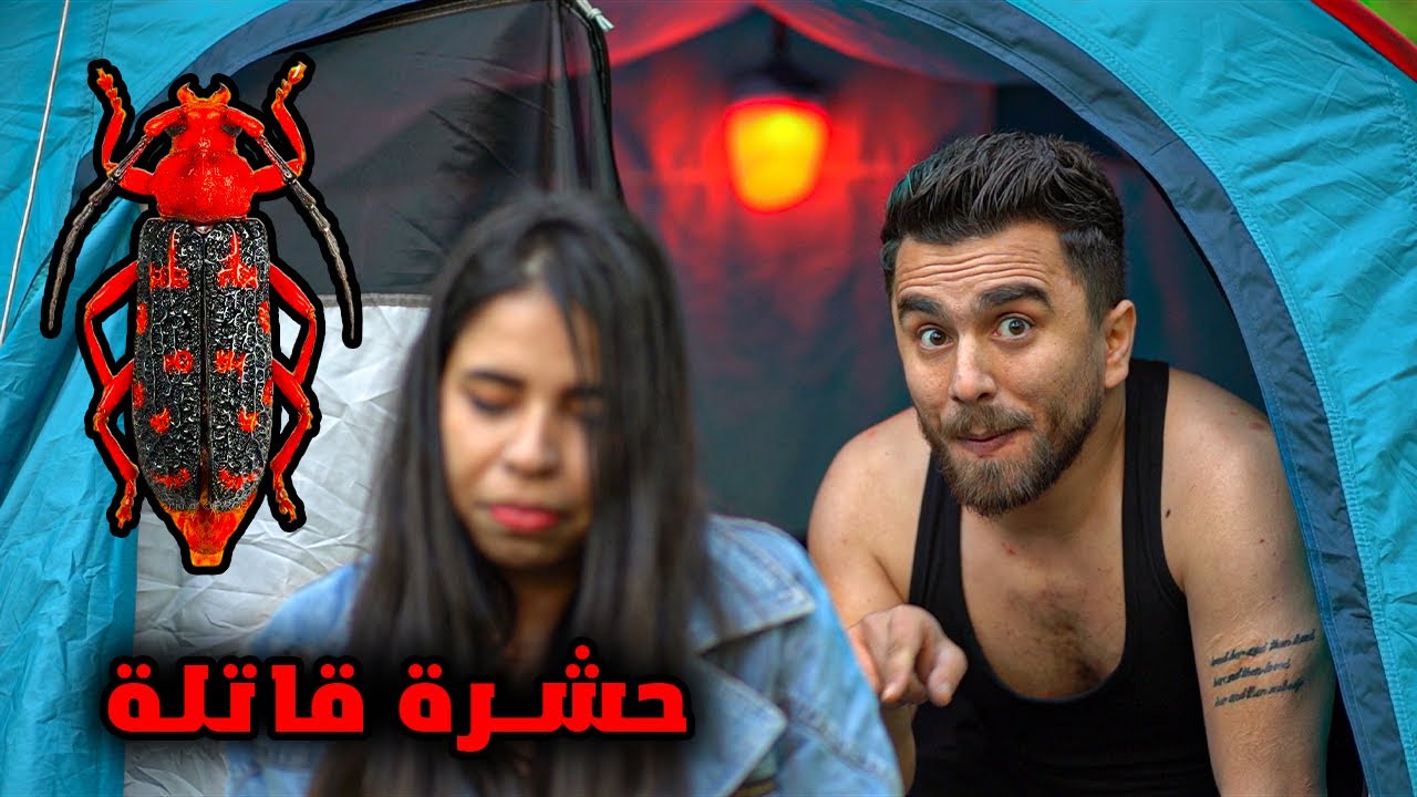 انصاري و تويا في غابة الدب الشرس 24 ساعة ( البقاء على قيد الحياة )