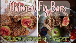 Gluten free Vegan Fig Bar Recipe : DELICIOUS