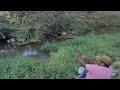 Awsome Hook fishing|Different types of fishes Catching In Village Pond|Unique Fishing