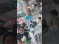 #songkran #dalkomhanlia
