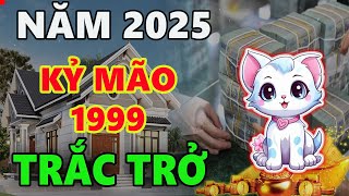 Tử vi tuổi KỶ MÃO 1999 năm 2025, NĂM ĐẦU TAM TAI dũng cảm đối diện sẽ vượt qua trở ngại.