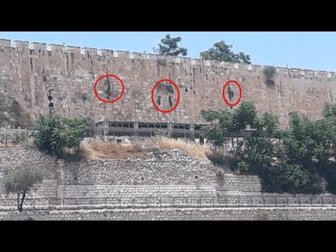 ვიდეო: სად აშენდა ღვთის ტაძარი?
