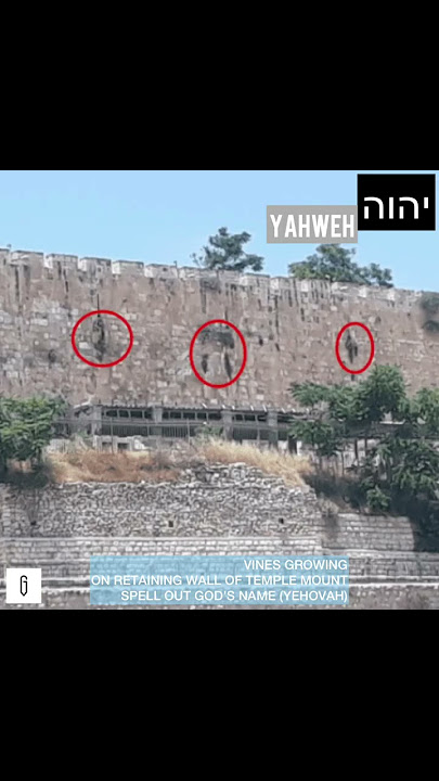 Stones are Speaking | The Temple Mount’s Eastern Wall | GOD’S Name