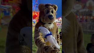 Chris met a lion at the carnival last night. Look how brave he was! #lion #cockatoo #carnival
