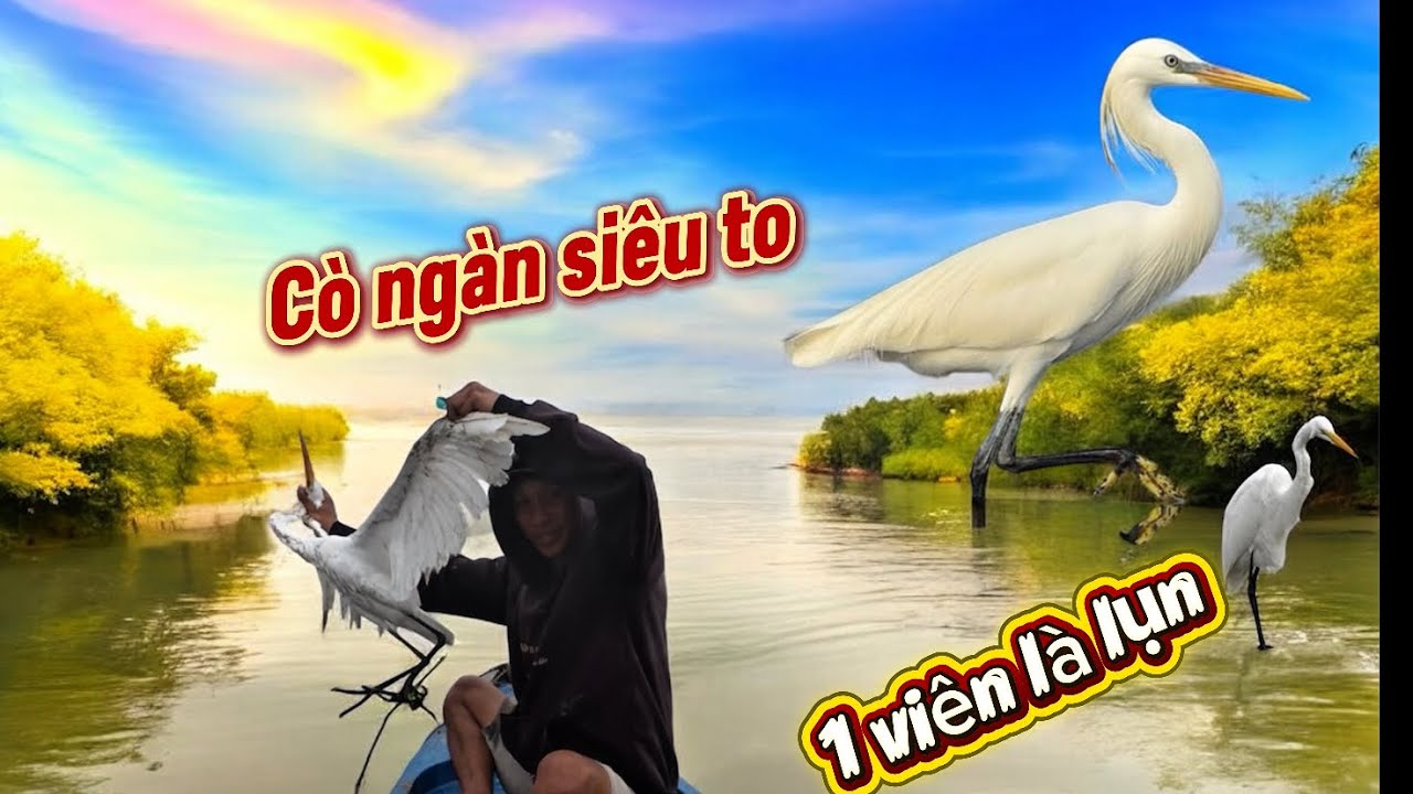 Theo con nước cạn hạ cò ngàn siêu khủng…
