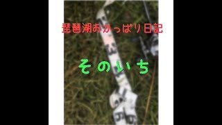 20170804 琵琶湖おかっぱり日記 ~バスフィッシング~