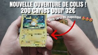POUR MOI LE PLUS BEAU RAICHU !