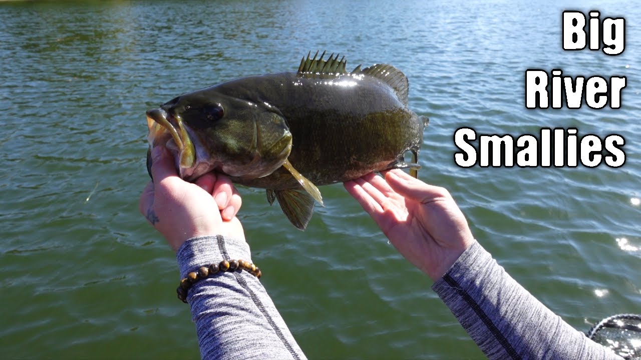 Fall River Fishing for BIG Smallmouth Bass!
