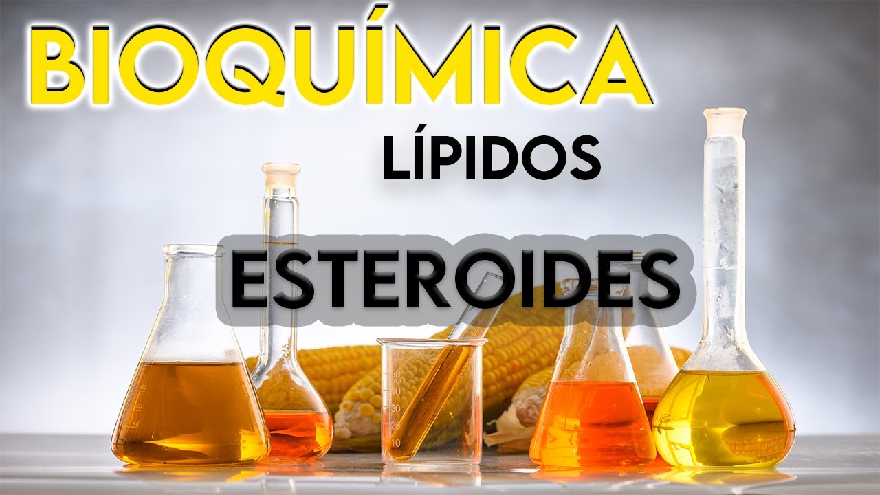 38- ESTEROIDES ¿QUÉ SON? || BIOQUÍMICA