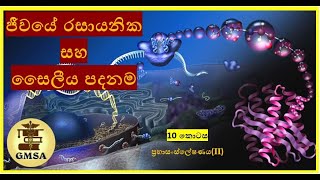 උසස් පෙළ ජීව විද්‍යාව, ජීවයේ රසායනික සහ සෛලීය පදනම - දහවන කොටස (ii) by Kalani Senevirathna