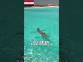 体が浮いちゃう湖って知ってる？ #shorts #egypt