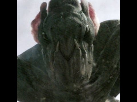 10 cloverfield 10 cloverfield