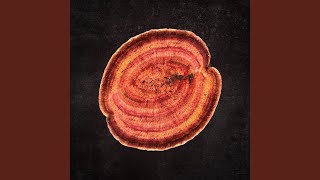 Download Lagu Gorkana MP3