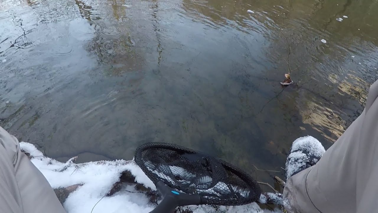 Winter Trout Fishing with Spinners