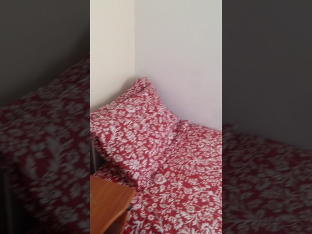 Room in family house for student or professional Main Photo