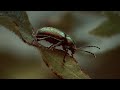 existence | #photography #canonr7 #50mmphotography #50mm #shortfilm