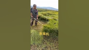 Máy cắt cỏ chế thành máy gặt lúa