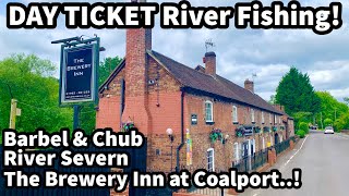 DAY TICKET River Severn Barbel & Chub Fishing! The BREWERY INN Section at Coalport.. With Levels Up!