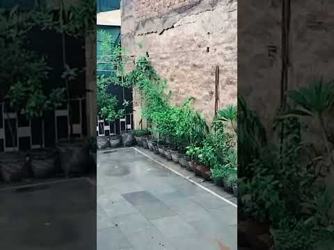 ##barsaat ke mausam mein ##youtubeshorts ##viralshorts ##sawanspecial ##