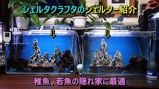 購入品紹介 シェルタクラフタさんの7シェルター 稚魚、若魚の隠れ家に