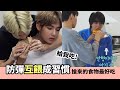 要吃就吃成員餵的! 搶來的食物最好吃 [防彈] BTS feeding each other