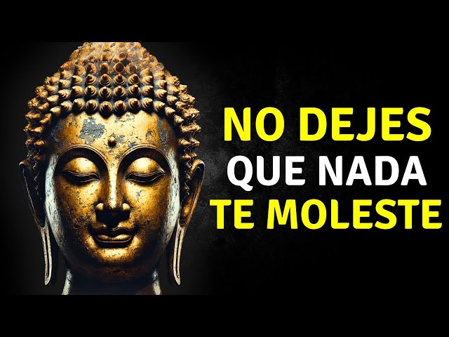 10 Enseanzas De Buda Que Te Harn Reflexionar