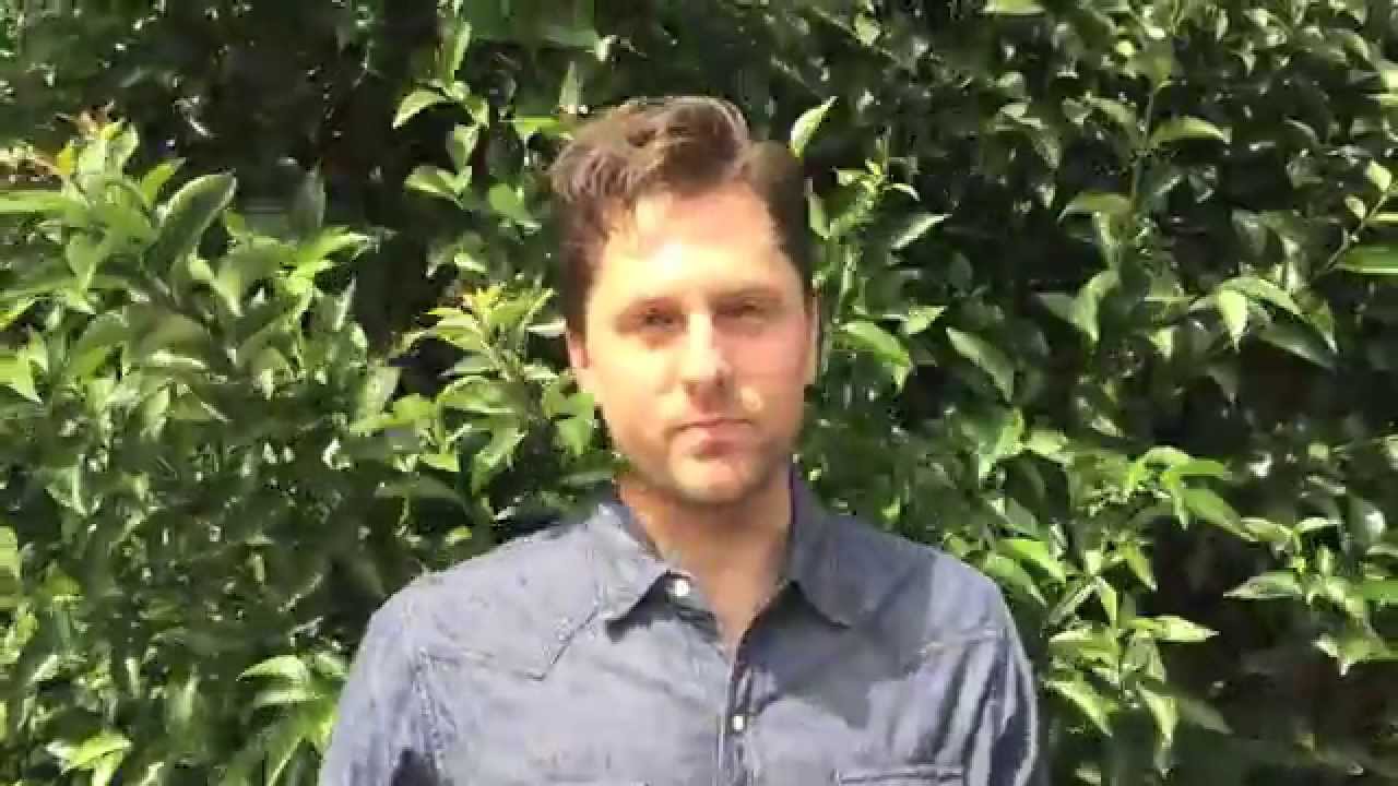 Trees for the Future & Game Night In A Can