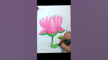 Lotus drawing and coloring | #drawing #swarnaart #lotus